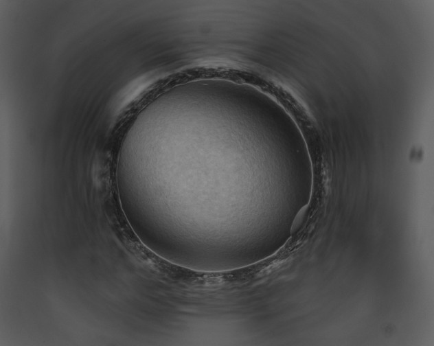 X0000090630968200707171444