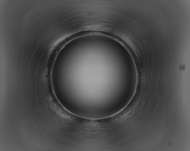 X0000090630971200707171444