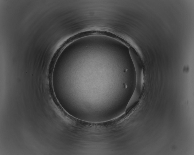 X0000090630972200707171444