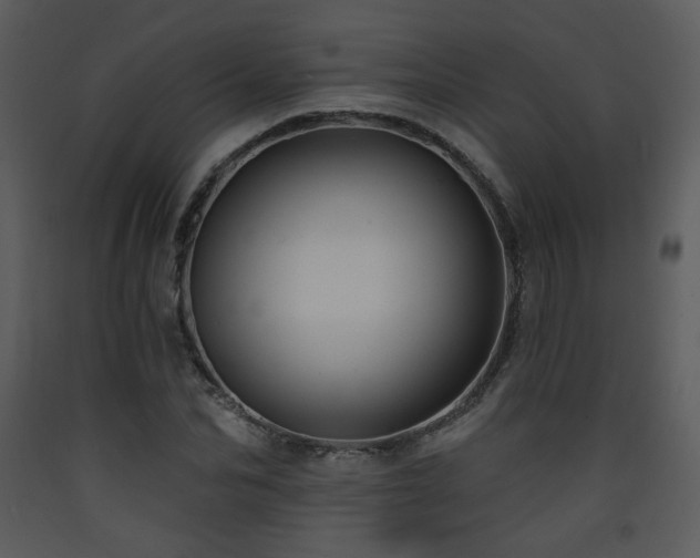 X0000090630974200707171444