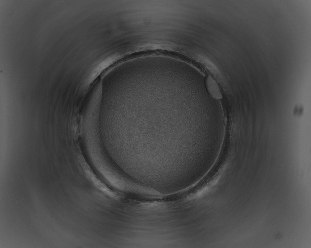 X0000090630977200707171443