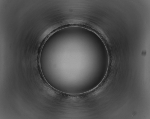 X0000090630978200707171443