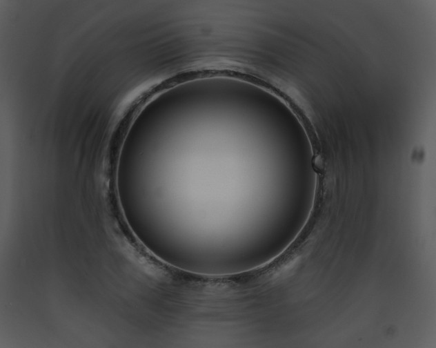 X0000090630979200707171443