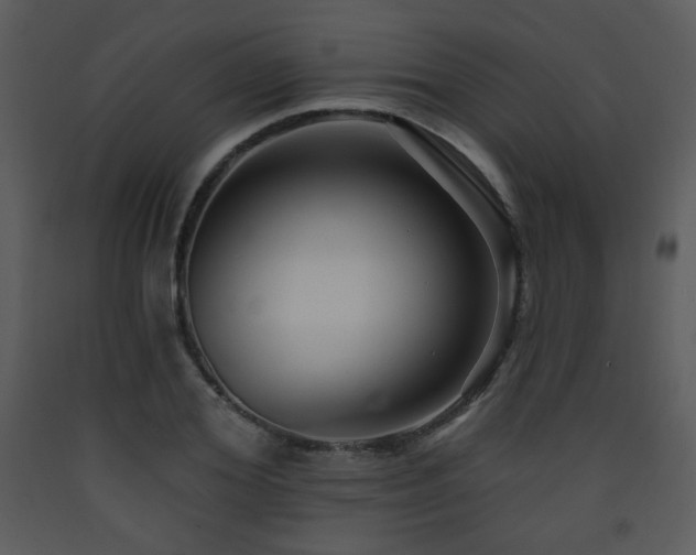 X0000090630980200707171443
