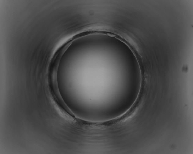 X0000090630981200707171443