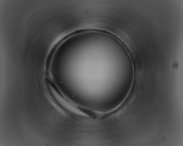 X0000090630982200707171443