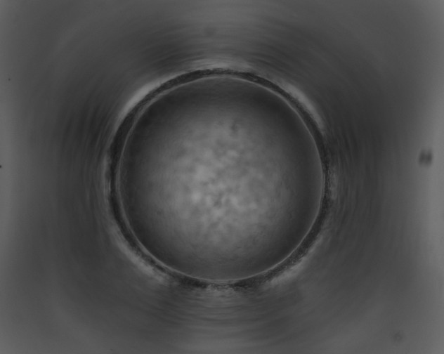 X0000090630983200707171443