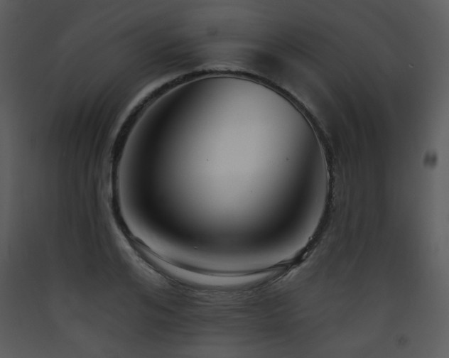 X0000090630984200707171443