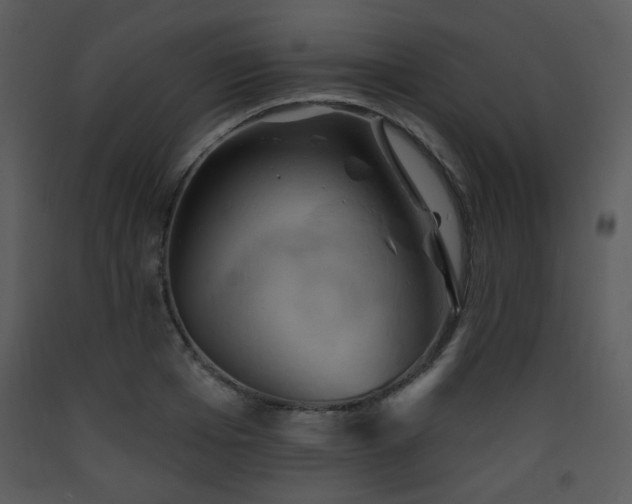 X0000090630985200707171443
