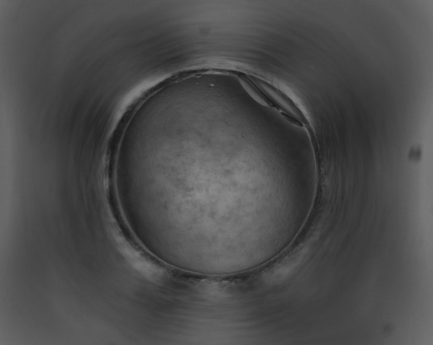 X0000090630987200707171443