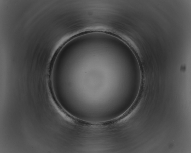 X0000090630989200707171443