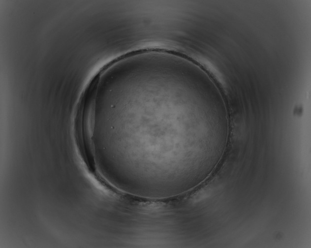 X0000090630991200707171443