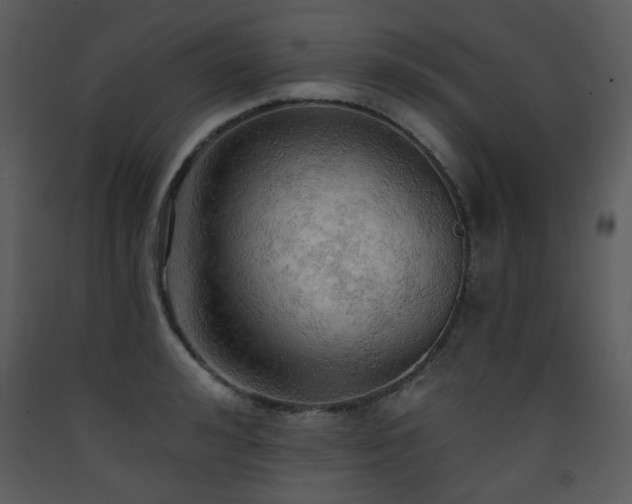 X0000090630992200707171443