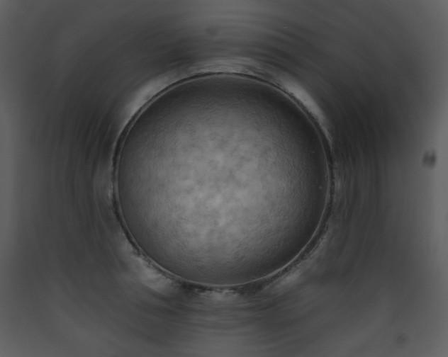 X0000090630994200707171443