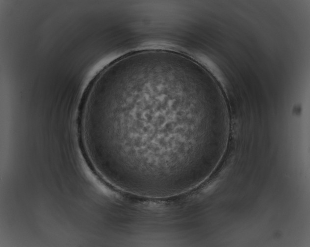 X0000090630995200707171443