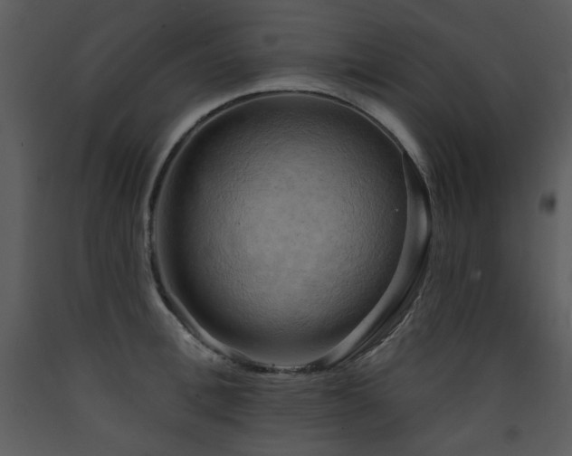X0000090630996200707171443