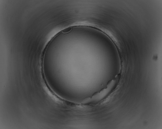X0000090630998200707171443