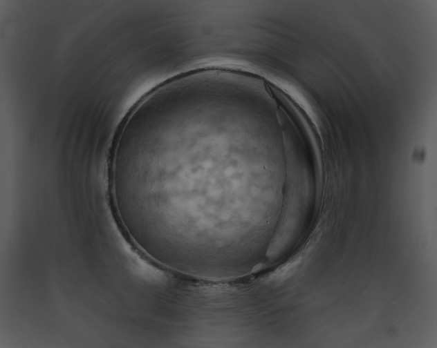 X0000090630999200707171443