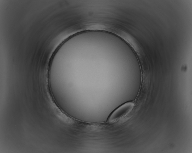 X0000090631000200707171443