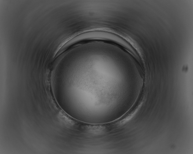 X0000090631001200707171443