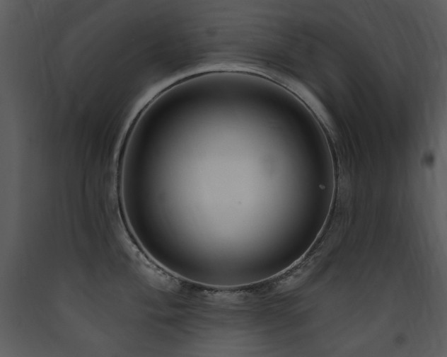 X0000090631004200707171443