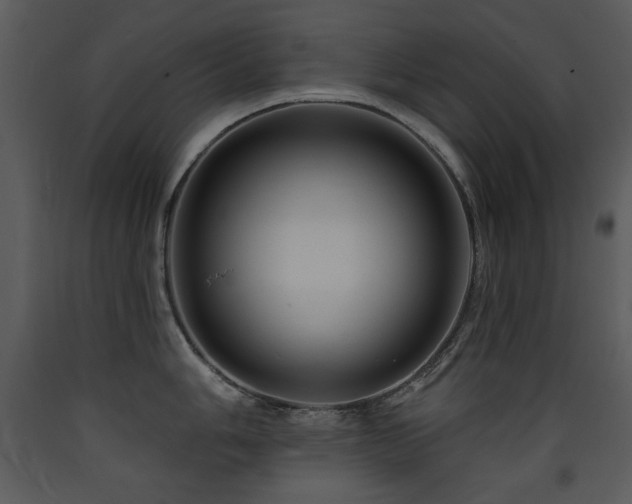 X0000090631006200707171443