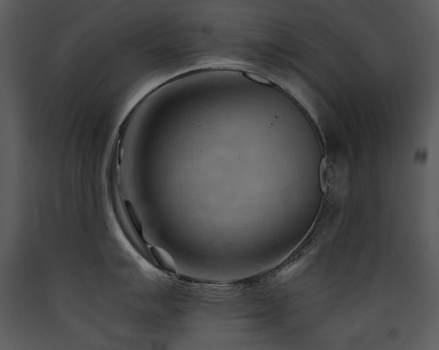 X0000090631007200707171443