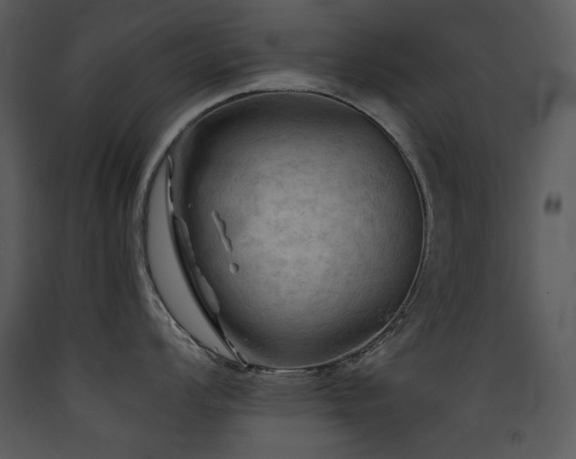 X0000090631008200707171443