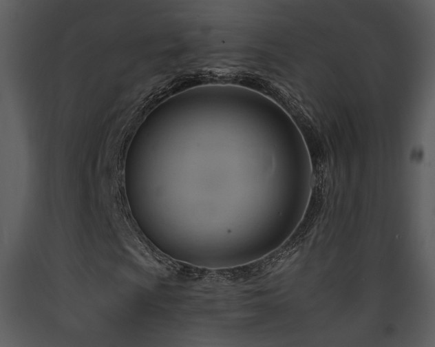 X0000090631009200707171442