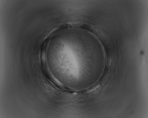 X0000090631010200707171442