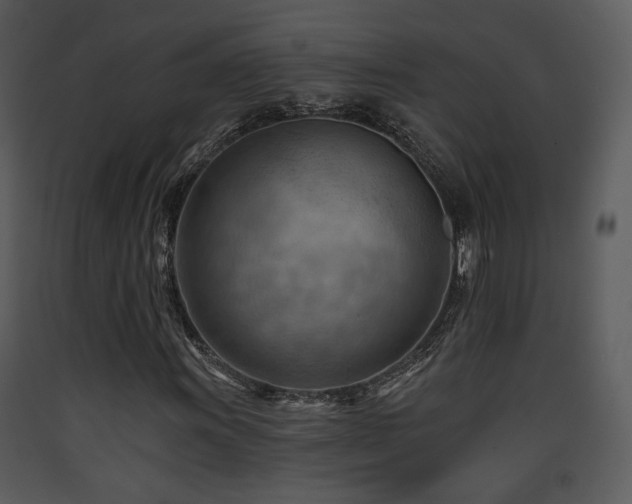 X0000090631011200707171442