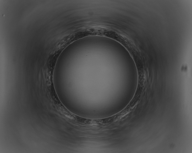 X0000090631013200707171442