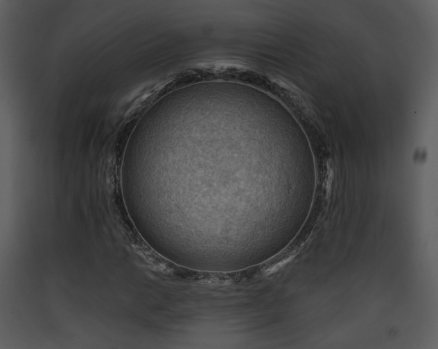 X0000090631014200707171442