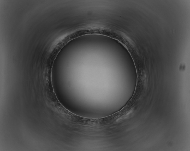 X0000090631016200707171442