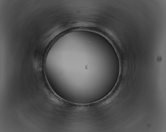 X0000090631017200707171442