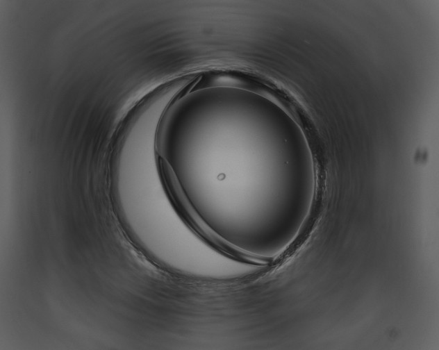 X0000090631018200707171442