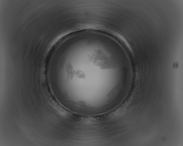 X0000090631019200707171442
