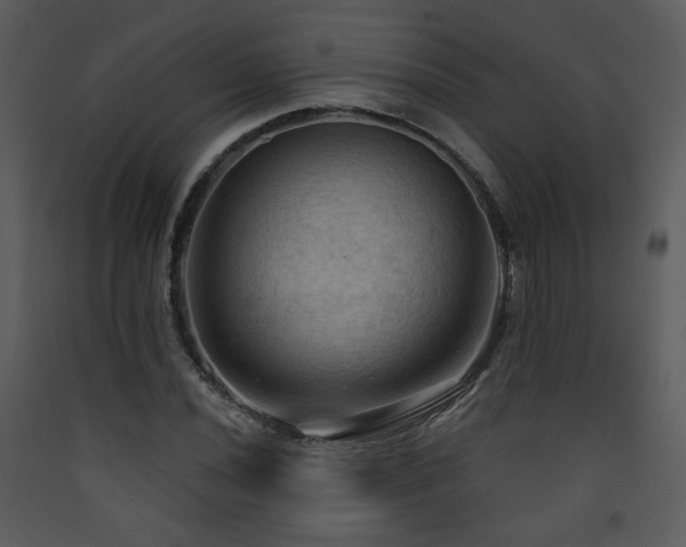 X0000090631020200707171443