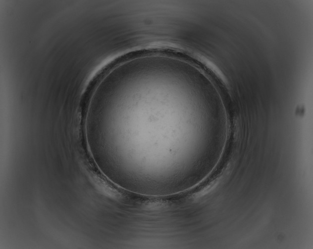 X0000090631021200707171443