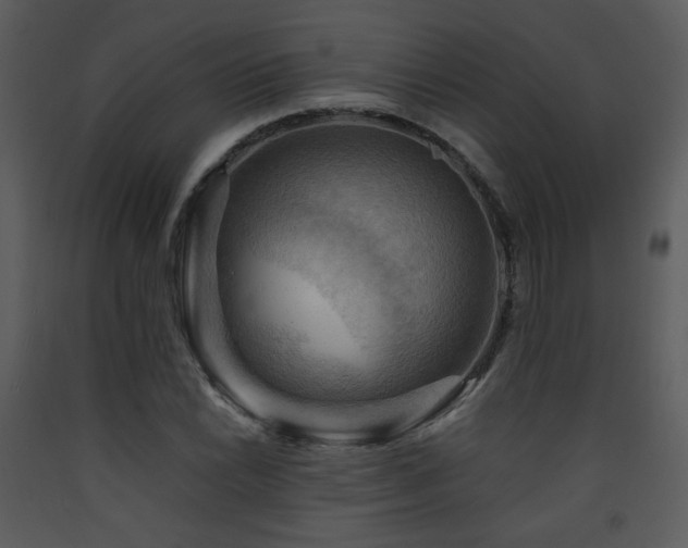 X0000090631022200707171443