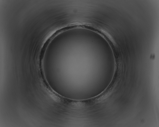 X0000090631023200707171443