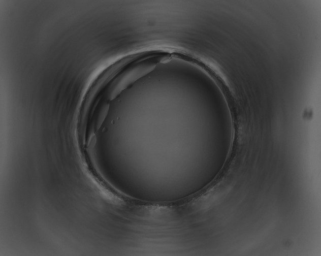 X0000090631024200707171443