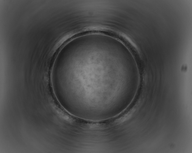 X0000090631025200707171443