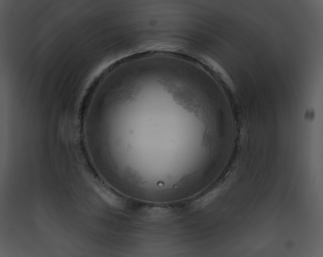 X0000090631027200707171443