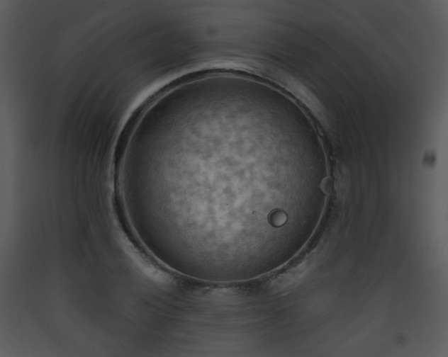 X0000090631028200707171443