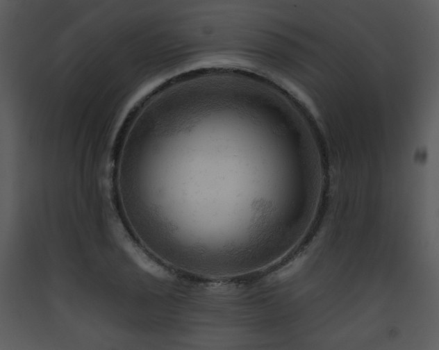 X0000090631029200707171443
