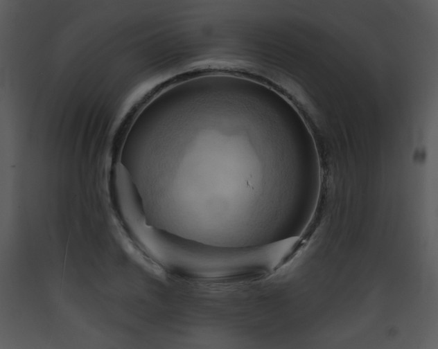 X0000090631030200707171443