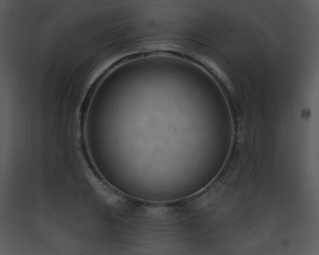 X0000090631031200707171443