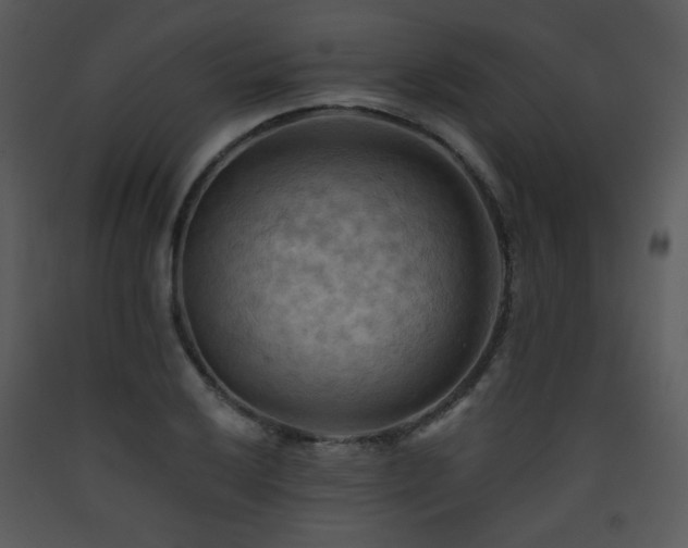 X0000090631032200707171443