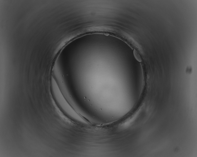 X0000090631033200707171443